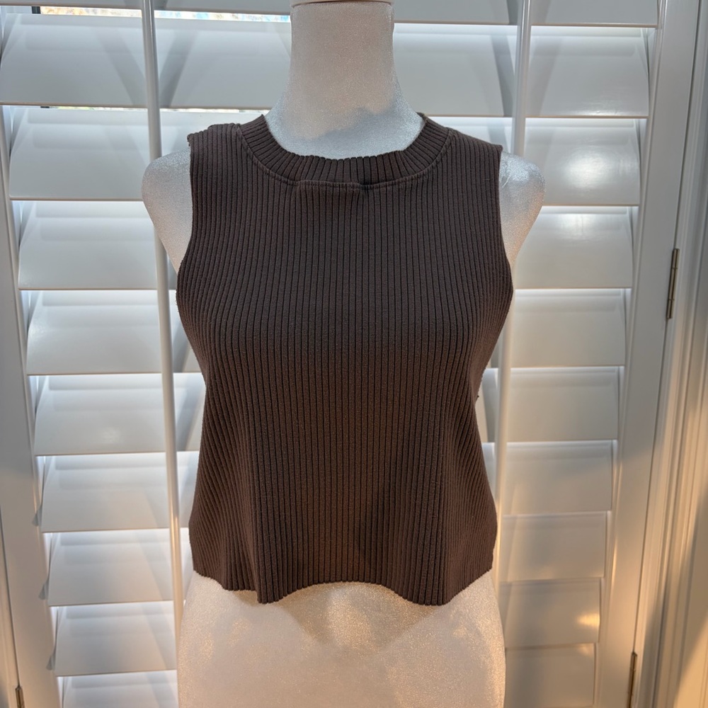 Aerie Chocolate Ribbed Tank Top (XL)